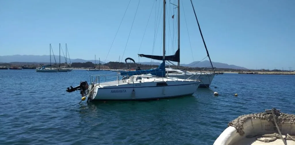 Velero amaranta